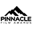 Pinnacle Film Awards